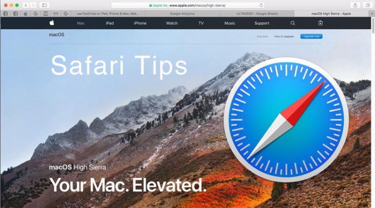 Safari Browser, home page.